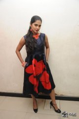 Madhumitha at Bhale Bhale Magadivoy Movie Success Meet